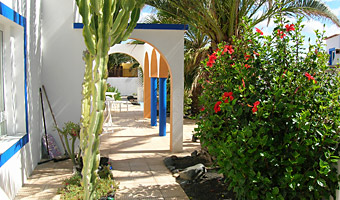 Garten im vorderen Bereich des Hauses