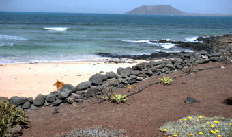 Hausbeach
