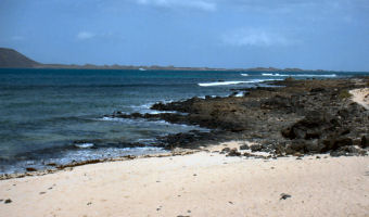 Hauswelle